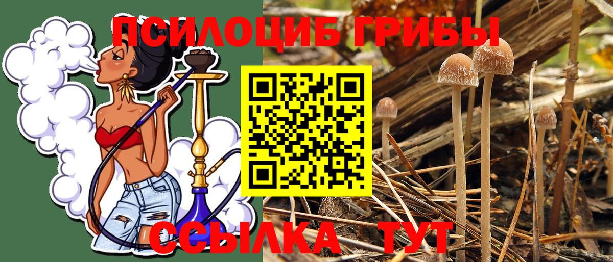 Псилоцибиновые грибы Psilocybine cubensis  Вход с VPN  Первоуральск 